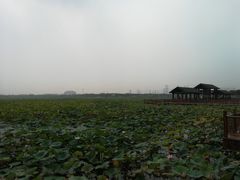 -天津东丽湖风景区