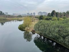 -眉山湿地公园(东坡区)