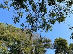 -西双版纳傣族园