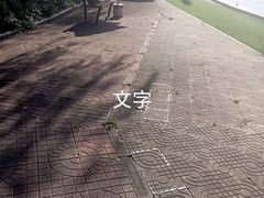 -柳浪游泳场