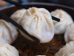 特色鲜肉小笼汤包-笑云开汤包店(网巾市店)
