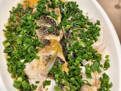 -春江酒楼(海宁盐官环城南路店)