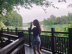 -东湖落雁景区