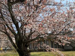-醍醐寺