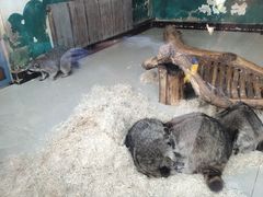 -大连森林动物园