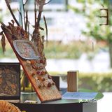 躺赢鸭拿铁,今天你躺平了吗?☕️