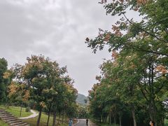 -南京市江宁方山