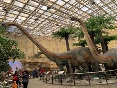 -国家自然博物馆