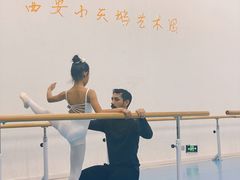 -西安小天鹅艺术团(曲江Alice店)