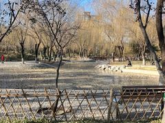 -丰台科技园生态主题公园