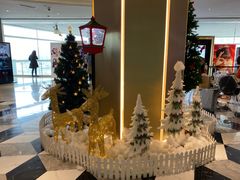 -百丽宫影城(CGS激光苏宁广场店)
