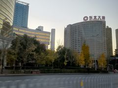 -东北大厦酒店(沈阳北站青年大街店)