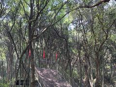 -富春桃源风景区