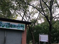 -晓港公园