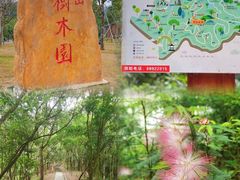 -中山市树木园