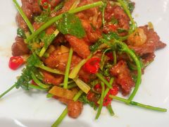 -巴依老爷新疆美食(望京小街店)