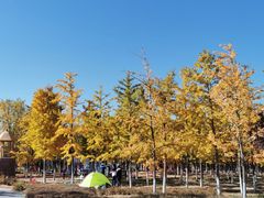 -永定河休闲森林公园