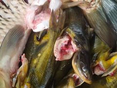 -官厅老勾渔馆(温泉店)