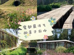 -前小桔亲子创意农场·草莓采摘·露营烧烤
