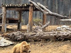 -武汉动物园