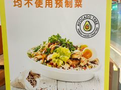 -油梨树 AVOCADO TREE(亮马桥店)