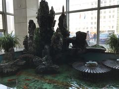 -沈阳市骨科医院