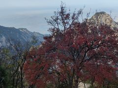 -华山风景名胜区-苍龙岭