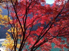 -叠溪松坪沟景区