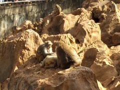-昆明动物园