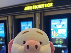 -寰映影城(大融城激光IMAX店)
