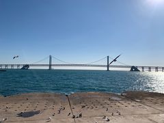 -星海湾跨海大桥