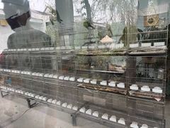 -长春农业博览园