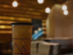 茉莉白桃-去茶山(重庆万象城店)