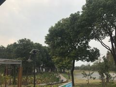 -田园东方蜜桃村的田野营地