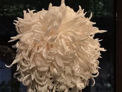 -汇龙潭
