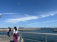 -东港音乐喷泉广场