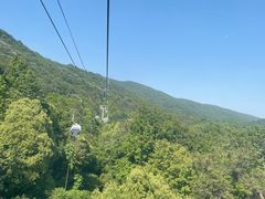 -紫金山索道-售票处