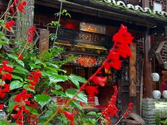 -青城甲(青城山店)