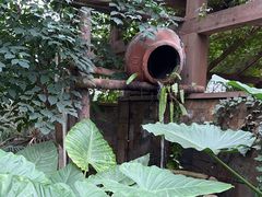 -金稼园·金平湖农家菜