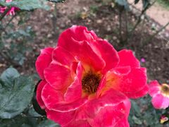 -人民公园(罗湖区)