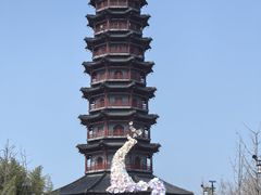 -江苏三台山国家森林公园