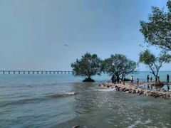-宝安西湾红树林湿地公园