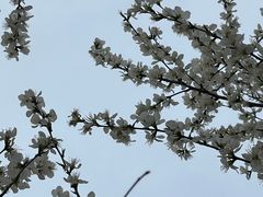 -南开大学(津南校区)