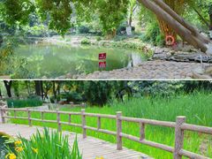 -成都市活水公园
