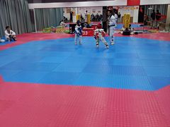 -陈中跆拳道(中关村馆)