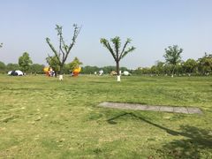 -苏州太湖国家湿地公园