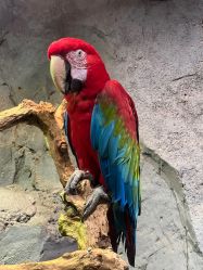 -Zoolung Zoolung动物主题公园(海信广场店)