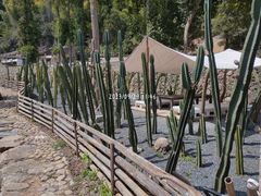 -MOJ coffee(瓯海泽雅水碓坑店)