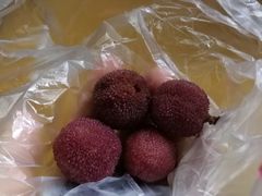 -云河农家乐饭店(福禄缘树山店)