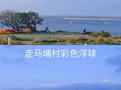 -南澳岛打卡果汁冰公司